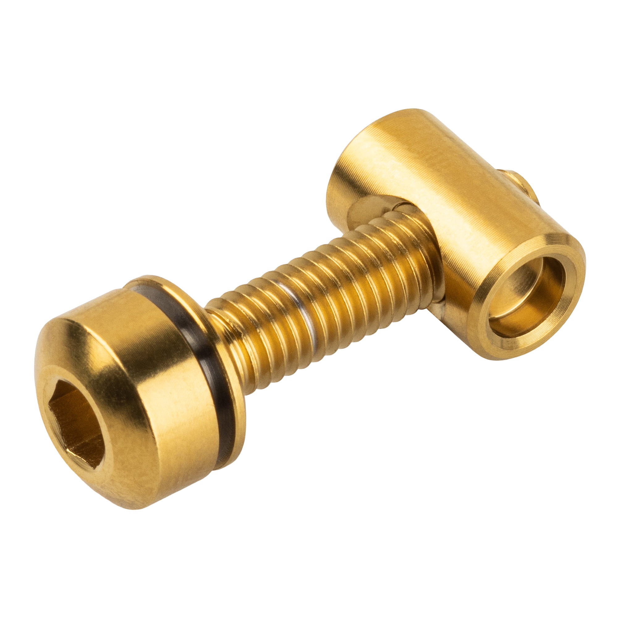 SC-TI-HW-GLD.jpg