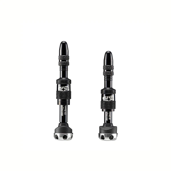 e*Thirteen Quick Fill Presta tubeless venitl